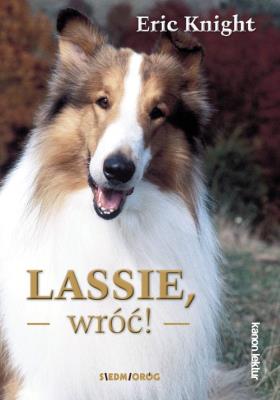 Lassie wróć!. Autor: Knight Eric. SmakLiter.pl Okładka książki Lassie wróć!