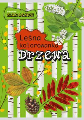 Leśna kolorowanka. Drzewa. Autor: Andżelika Bielańska, Eliza Goszczyńska. SmakLiter.pl Okładka książki Leśna kolorowanka. Drzewa