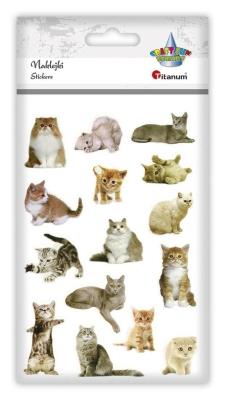 Opakowanie Naklejki wypukłe miękkie koty mix 15szt