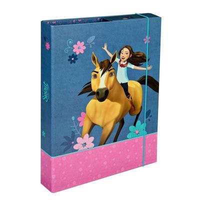 Opakowanie Teczka A4 na dokumenty Spirit Mustang