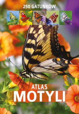 Atlas motyli. Autor: Jacek Twardowski Kamila Twardowska. SmakLiter.pl Okładka książki Atlas motyli