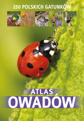 Atlas owadów. Autor: Jacek Twardowski Kamila Twardowska. SmakLiter.pl Okładka książki Atlas owadów