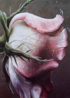 Opakowanie Fotoalbum kieszeniowy klejony Floret