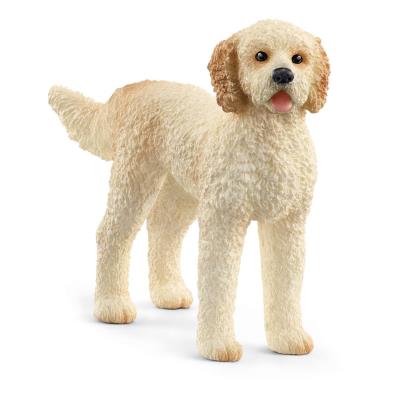 Opakowanie Goldendoodle