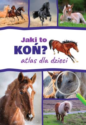 Jaki to koń? Atlas dla dzieci. Autor: Jacek Twardowski Kamila Twardowska. SmakLiter.pl Okładka książki Jaki to koń? Atlas dla dzieci