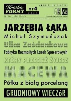Jarzębia Łąka. Krótkie Formy 4. Autor: Szymańczak Michał. SmakLiter.pl Okładka książki Jarzębia Łąka. Krótkie Formy 4