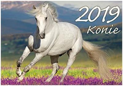 Opakowanie Kalendarz Konie 2019 KA2