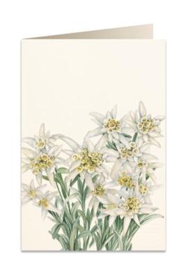 Opakowanie Karnet B6 + koperta 5501 Szarotka