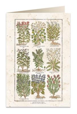 Opakowanie Karnet B6 + koperta 5575 Zioła