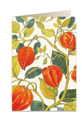 Opakowanie Karnet B6 + koperta 5586 Miechunka