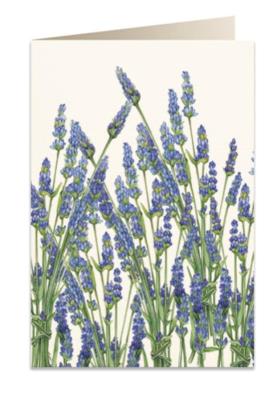 Opakowanie Karnet B6 + koperta 5591 Lawenda