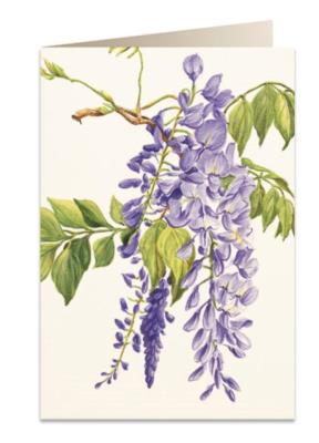 Opakowanie Karnet B6 + koperta 5598 Wisteria