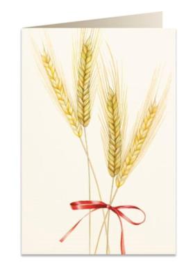 Opakowanie Karnet B6 + koperta 5717 Pszenica