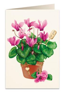 Opakowanie Karnet B6 + koperta 5756 Cyklamen