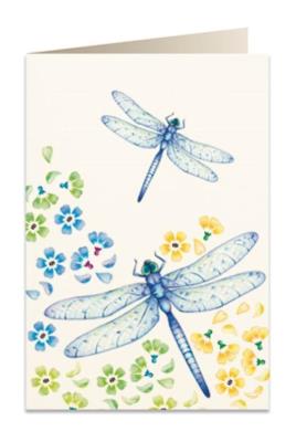 Opakowanie Karnet B6 + koperta 5763 Ważki