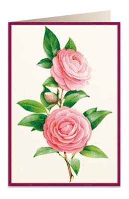 Opakowanie Karnet B6 + koperta 5817 Kamelia 2