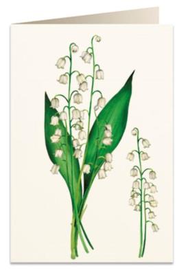 Opakowanie Karnet B6 + koperta 5819 Konwalia