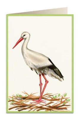 Opakowanie Karnet B6 + koperta 5824 Bocian