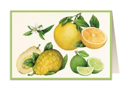 Opakowanie Karnet B6 + koperta 5851 Cytrusy