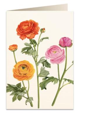 Opakowanie Karnet B6 + koperta 5892 Jaskier