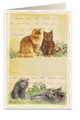 Opakowanie Karnet B6 + koperta 5904 Koty