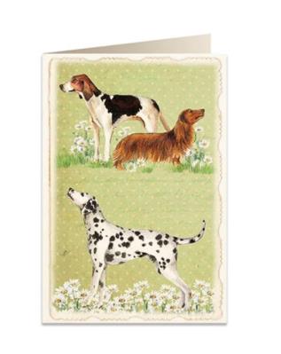 Opakowanie Karnet B6 + koperta 5905 Psy