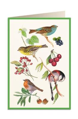 Opakowanie Karnet B6 + koperta 5928 Ptaszki