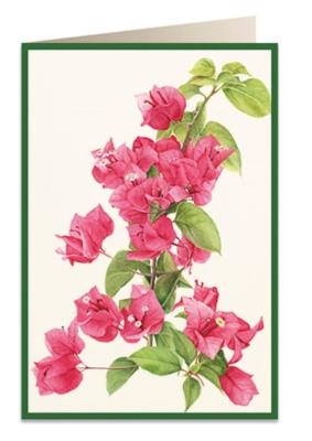 Opakowanie Karnet B6 + koperta 5933 Bugenwilla