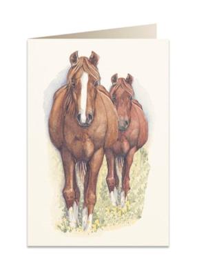 Opakowanie Karnet B6 + koperta 5937 Konie