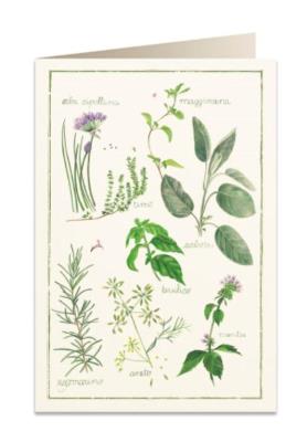 Opakowanie Karnet B6 + koperta 5955 Zioła aromatyczne