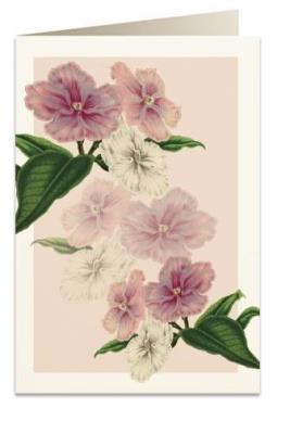 Opakowanie Karnet B6 + koperta 5969 Brunfelsja