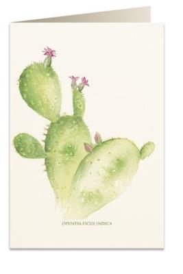 Opakowanie Karnet B6 + koperta 5987 Opuncja