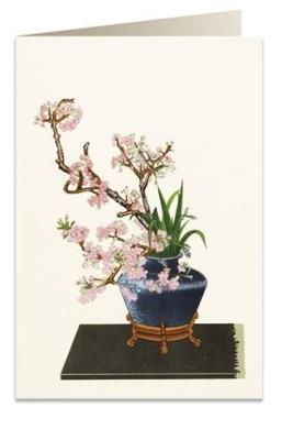 Opakowanie Karnet B6 + koperta 6012 Czarny wazon