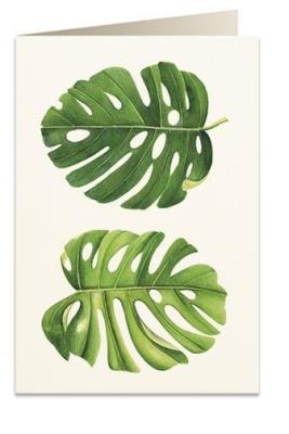 Opakowanie Karnet B6 + koperta 6015 Monstera