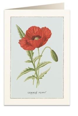 Opakowanie Karnet B6 + koperta 6020 Mak