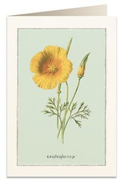 Opakowanie Karnet B6 + koperta 6021 Pozłotka