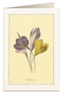 Opakowanie Karnet B6 + koperta 6022 Krokus