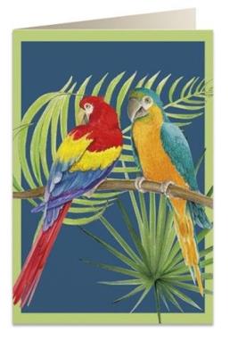 Opakowanie Karnet B6 + koperta 6051 Papugi