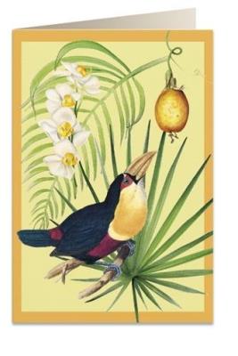 Opakowanie Karnet B6 + koperta 6053 Tukan i owoc