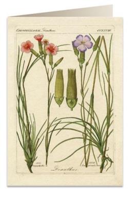 Opakowanie Karnet B6 + koperta 6054 Goździki