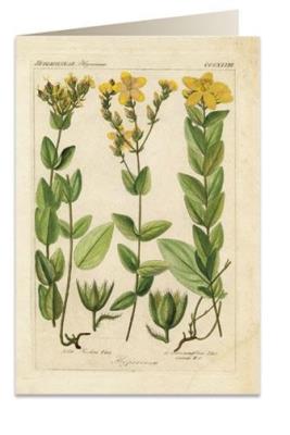 Opakowanie Karnet B6 + koperta 6055 Dziurawiec