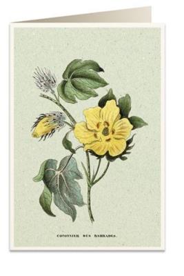 Opakowanie Karnet B6 + koperta 6058 Bawełna