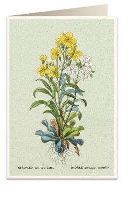 Opakowanie Karnet B6 + koperta 6059 Muchołówka