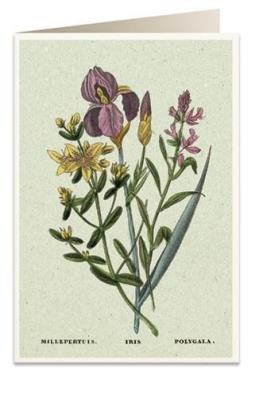 Opakowanie Karnet B6 + koperta 6060 Irys