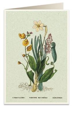 Opakowanie Karnet B6 + koperta 6062 Narcyz