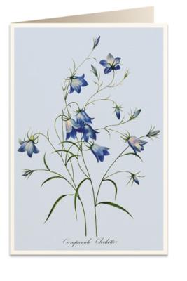 Opakowanie Karnet B6 + koperta 6090 Dzwonki