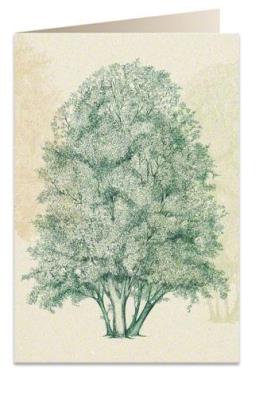 Opakowanie Karnet B6 + koperta 6095 Grab