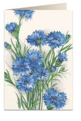 Opakowanie Karnet B6 + koperta 7514 Chaber