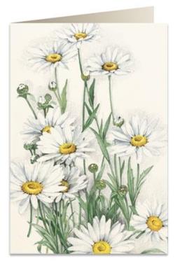 Opakowanie Karnet B6 + koperta 7515 Stokrotki