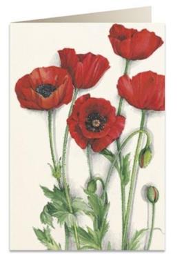 Opakowanie Karnet B6 + koperta 7519 Maki